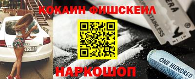 индика Гатчина