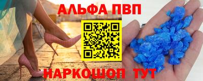 индика Гатчина