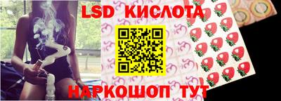 индика Гатчина