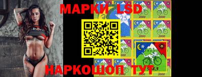 индика Гатчина