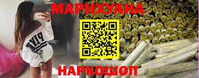 индика Гатчина