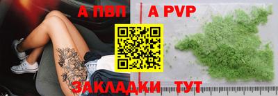 индика Гатчина