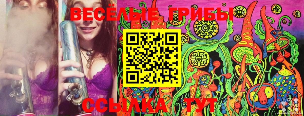 Галлюциногенные грибы Cubensis  Вход с VPN  купить закладку  Гатчина  Галлюциногенные грибы GOLDEN TEACHER 