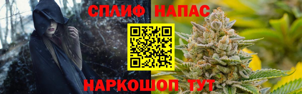 Каннабис MAZAR  Вход с VPN  Бошки Шишки White Widow  Гатчина  Шишки марихуана планчик 